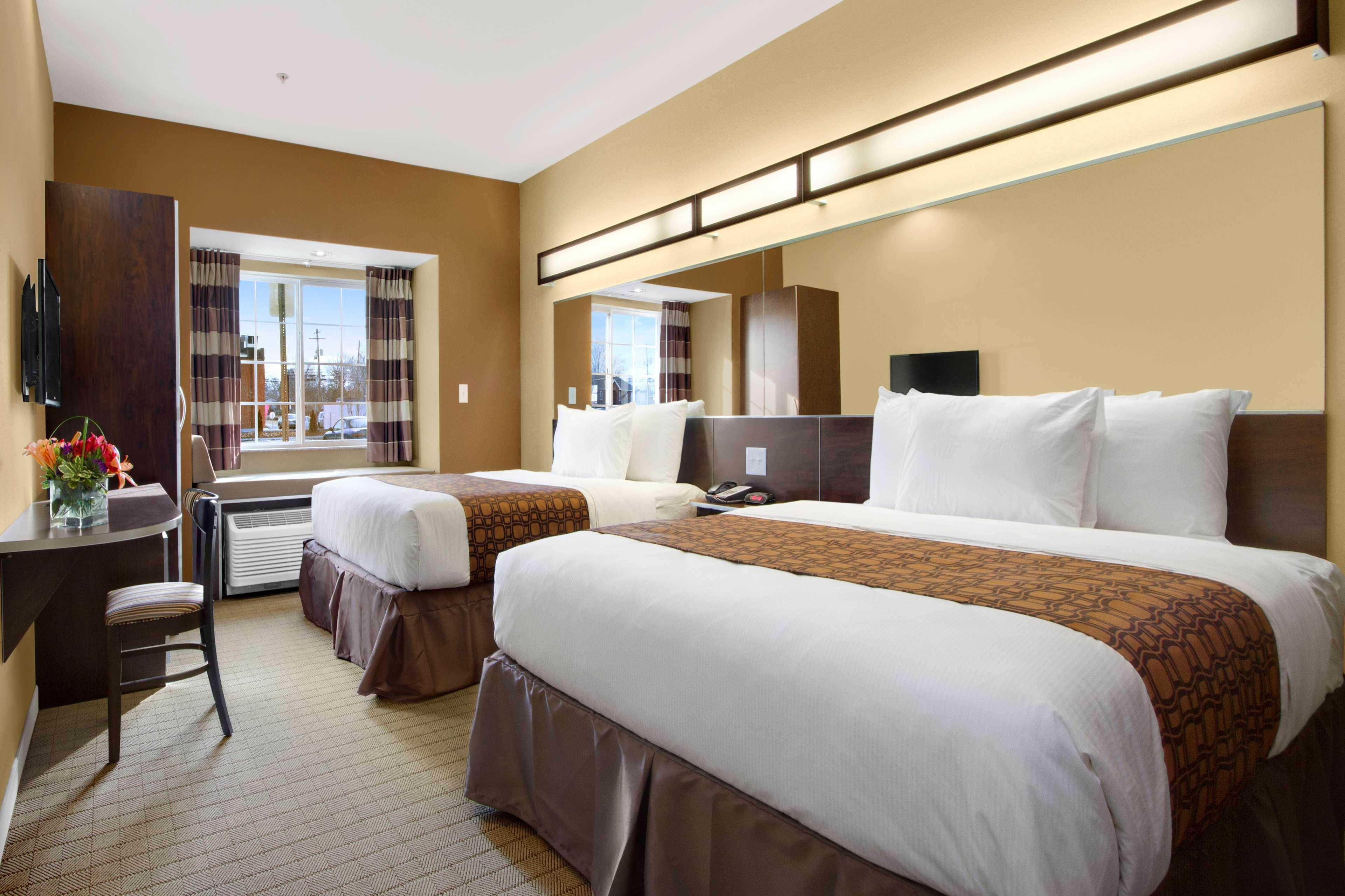 שלביוויל Microtel Inn & Suites By Wyndham מראה חיצוני תמונה